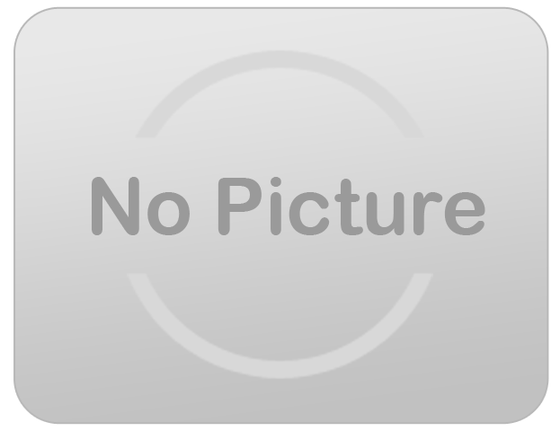 Monthly 20 Yard Dumpster 